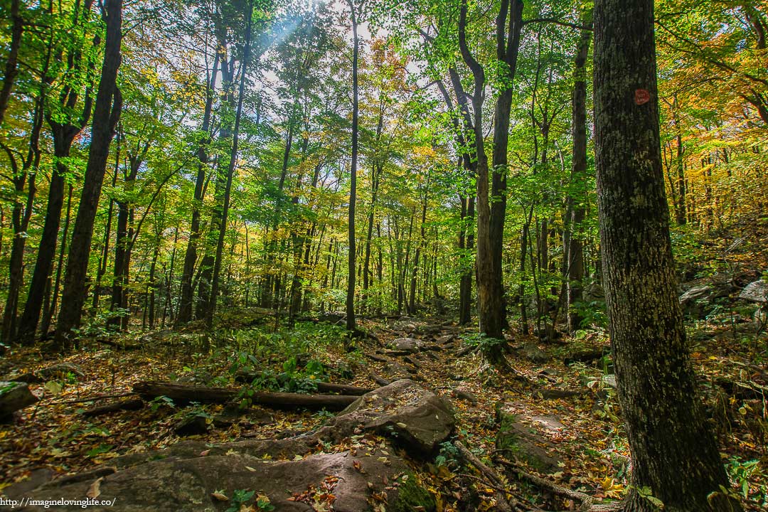 mary's glen trail